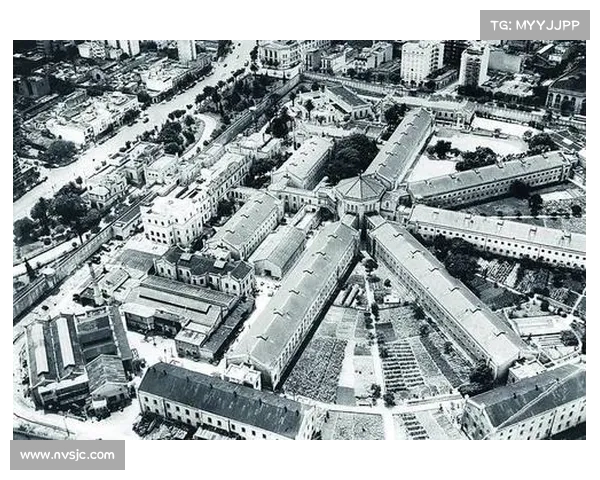 揭开北美洲杯赛赛事参与背后鲜为人知的组织运作与竞技奥秘全景展现